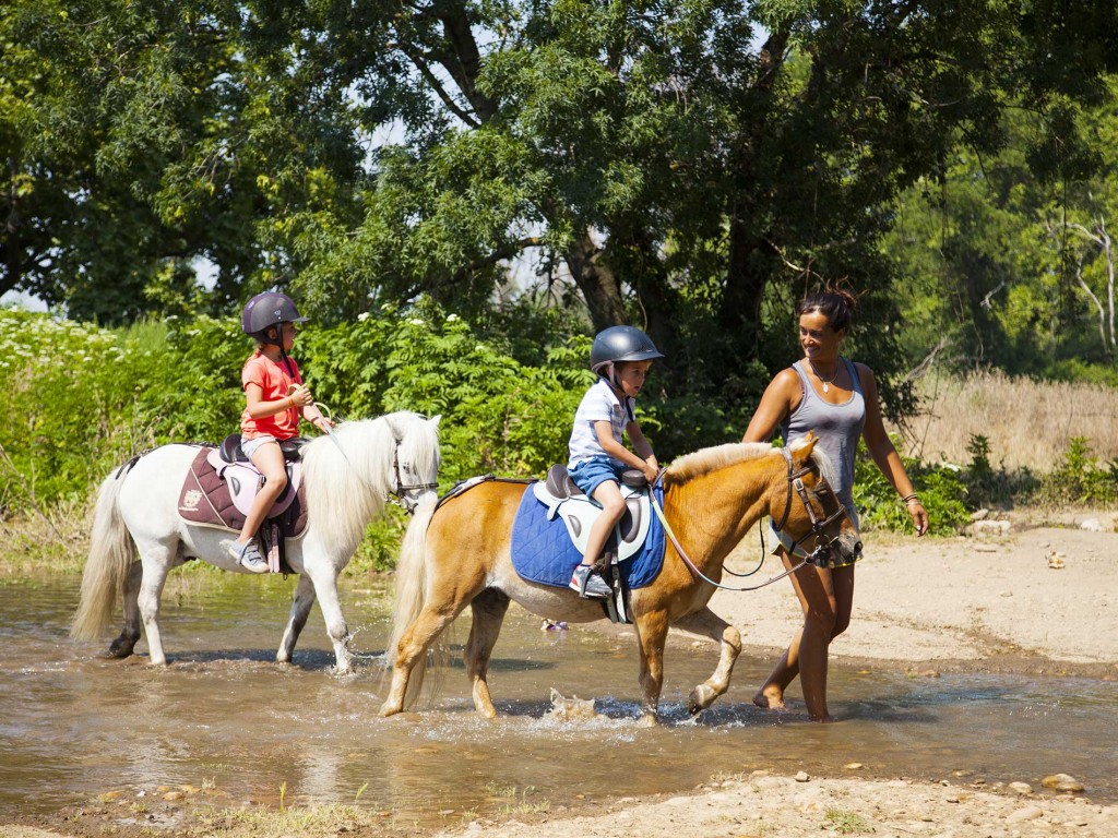 Campingplatz Avignon Parc: 13 Ponys