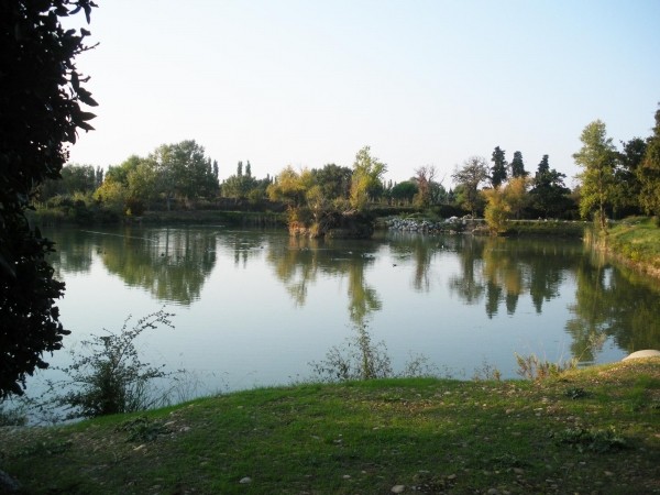 Camping Avignon Parc : Vedene