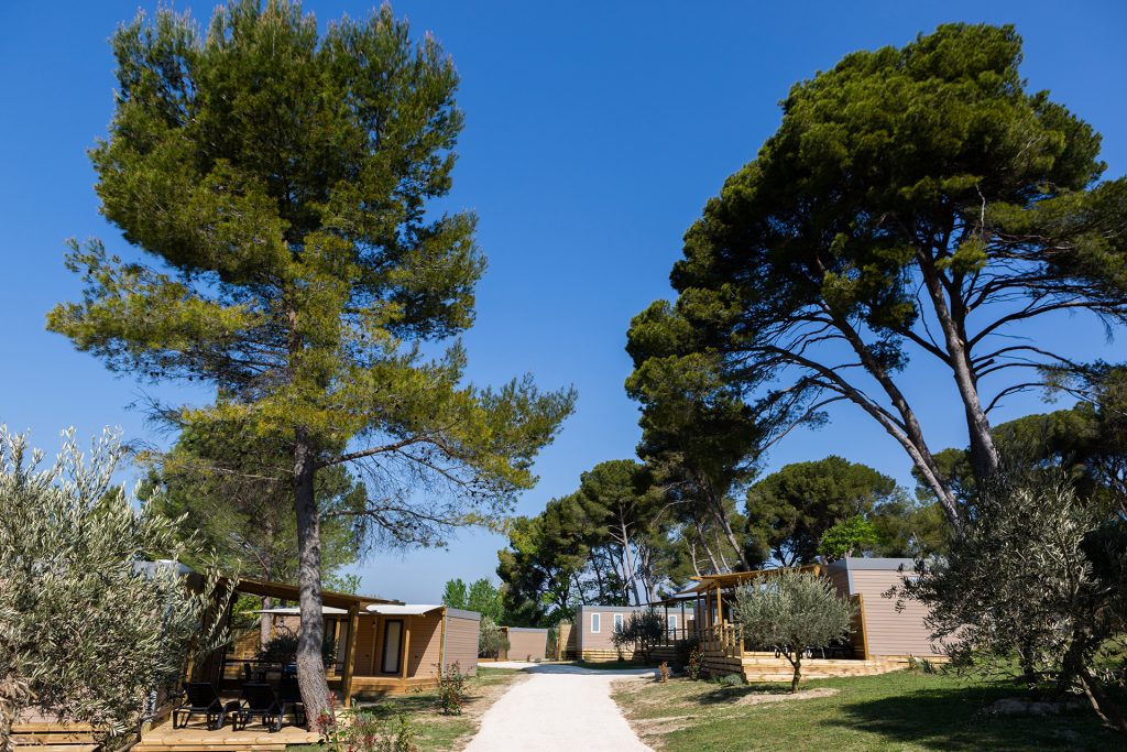 Avignon Parc Campsite: Avignon Parc 61