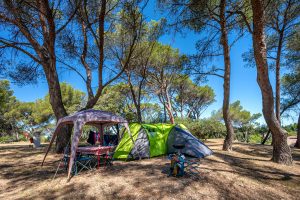Camping Vaucluse Ciela Village Avignon Parc Emplacements
